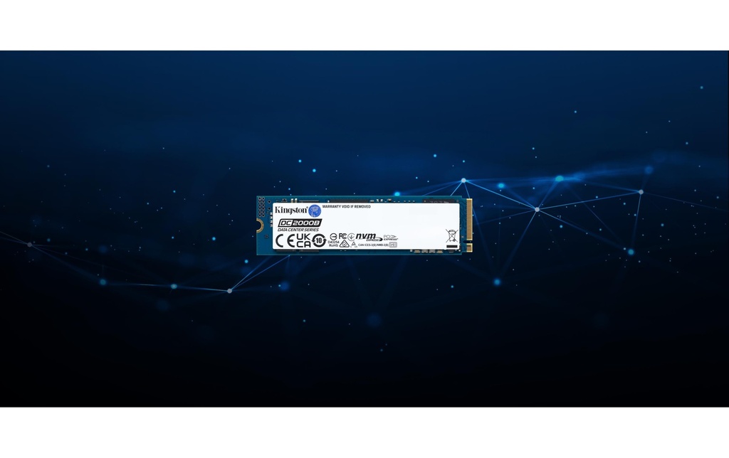 SSD Kingston Enterprise DC2000B 240GB, M.2-6