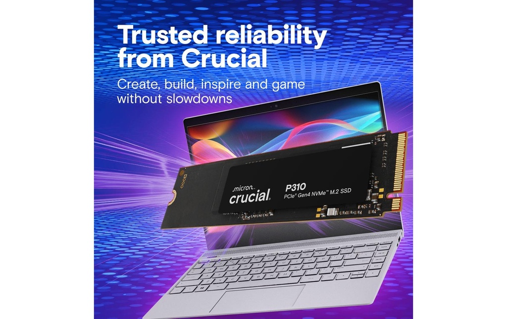 Crucial SSD P310 1TB, M.2 NVMe PCIe Gen4-3