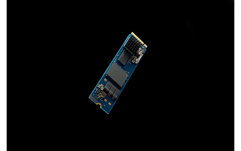 SSD Kingston Enterprise DC2000B 240GB, M.2-6