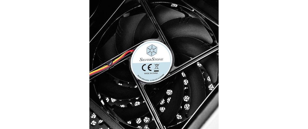 SilverStone Tower SST-PS13B schwarz-4