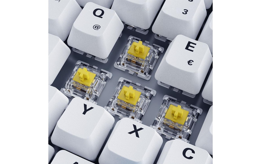 Sharkoon SGK50 S3 PBT-2