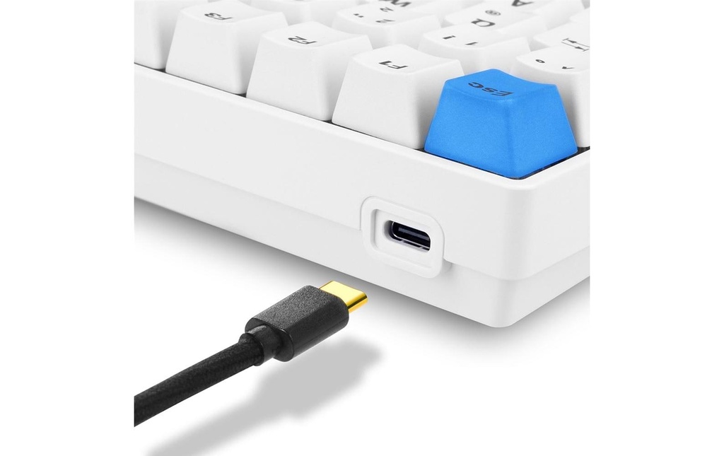 Sharkoon SGK50 S3 PBT-6