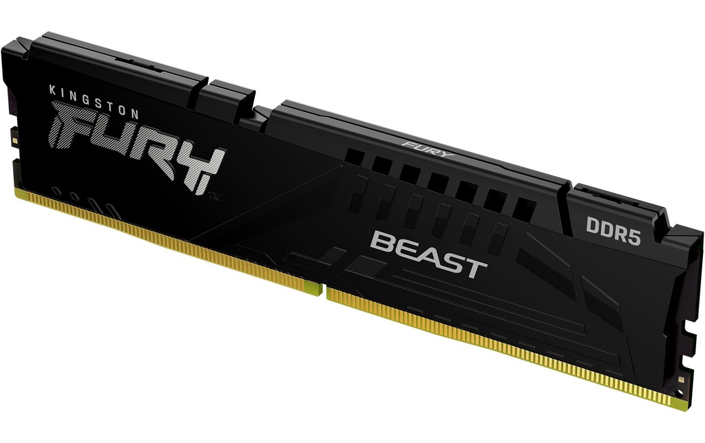 FURY Beast DDR5 32GB 6000MT/s EXPO-1