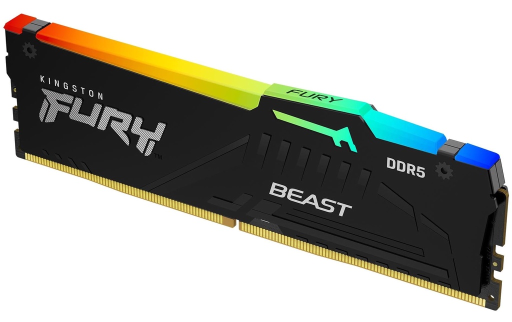 FURY Beast RGB DDR5 16GB 5600MT/s-1