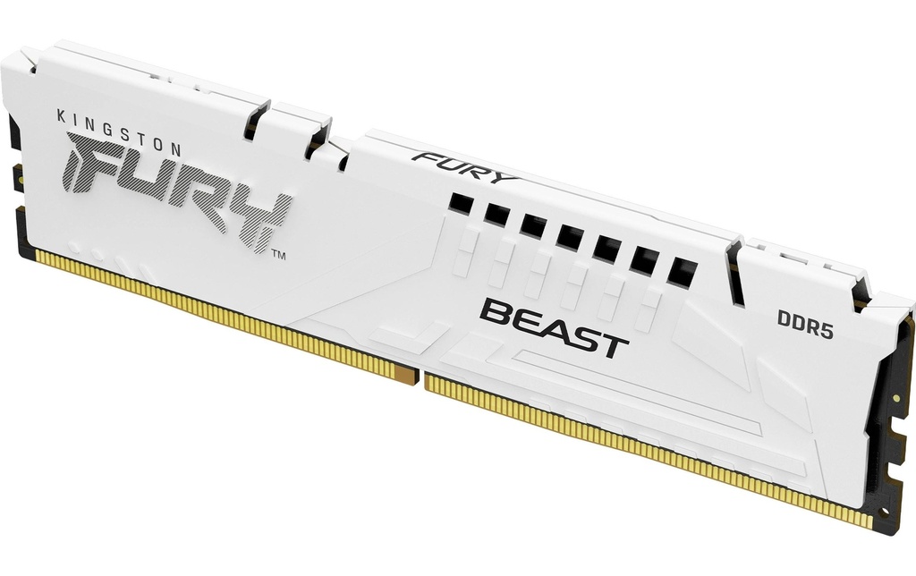 FURY Beast DDR5 32GB 2-Kit 6000MT/s Wh.EXPO-1