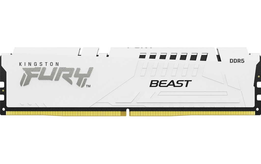 FURY Beast DDR5 32GB 2-Kit 6000MT/s Wh.EXPO-2