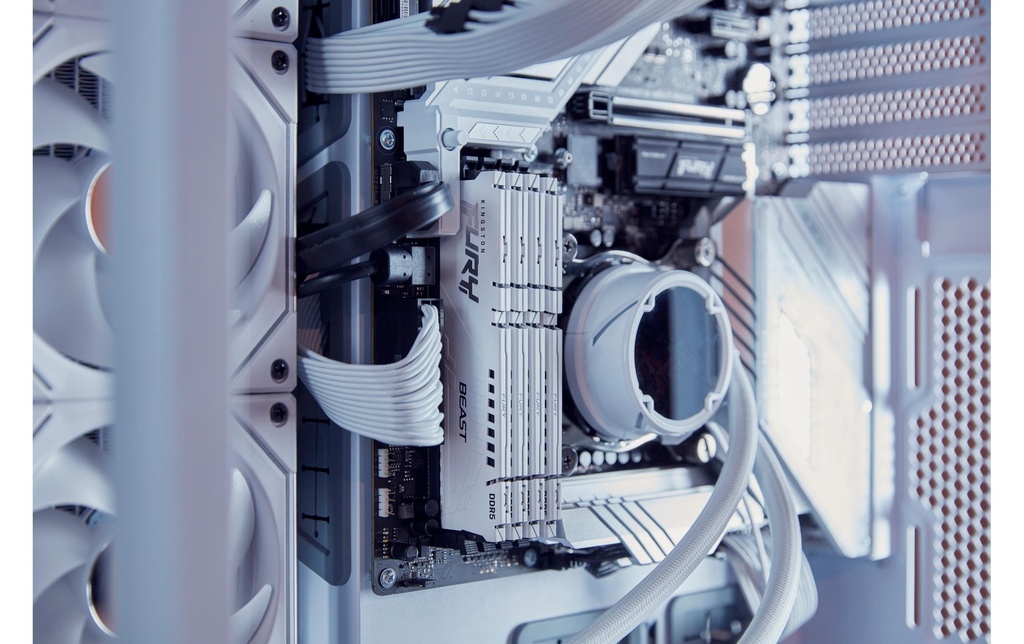 FURY Beast DDR5 32GB 2-Kit 6000MT/s Wh.EXPO-6