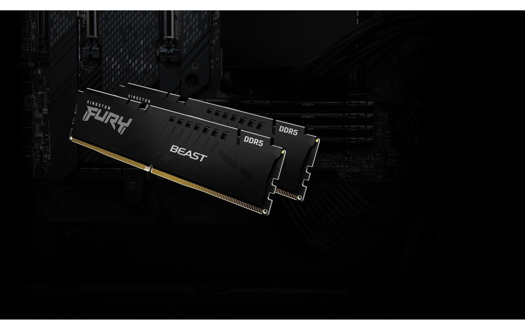 FURY Beast DDR5 128GB 2-Kit 5600MT/s EXPO-5