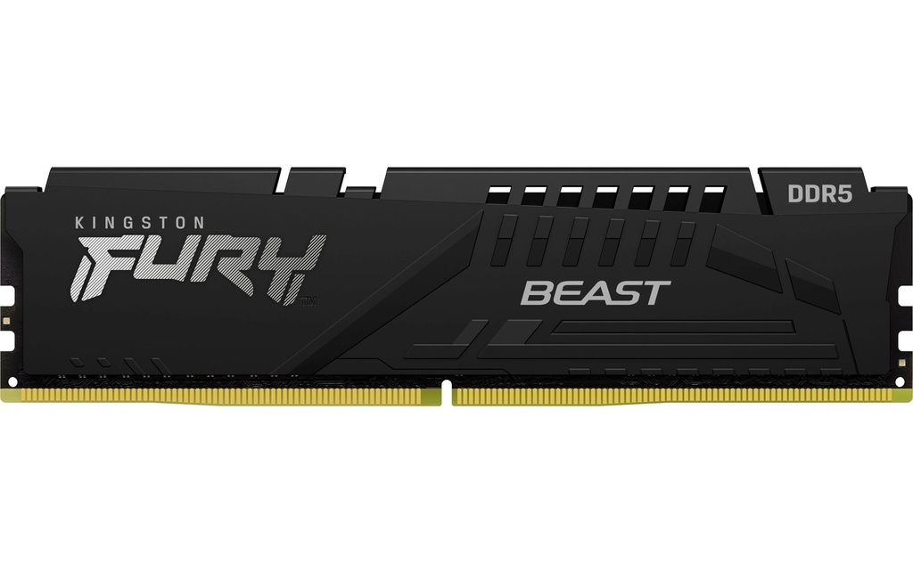 FURY Beast DDR5 64GB 2-Kit 6400MT/s EXPO-2