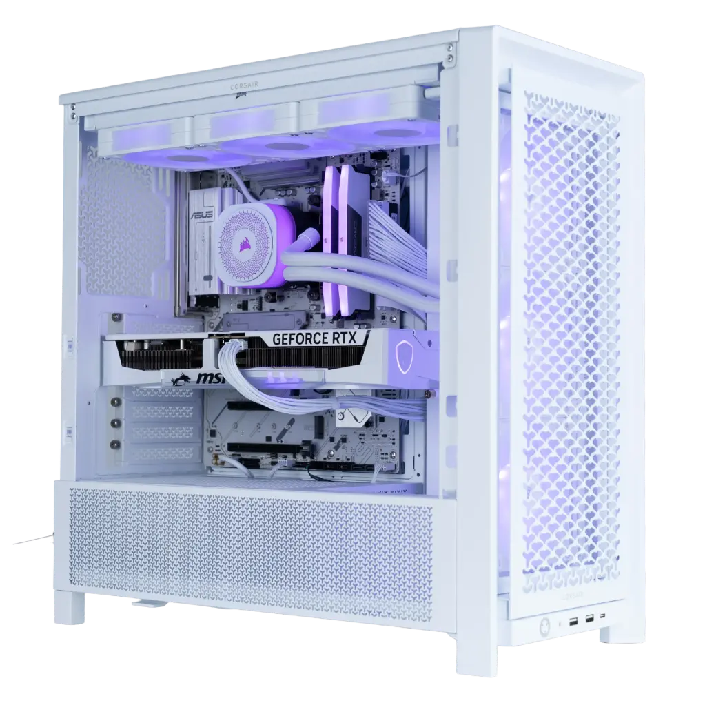 1. Regulus Blanc