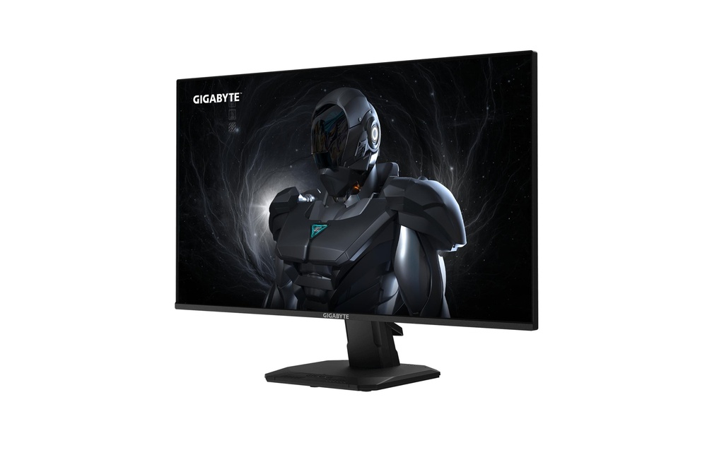 Gigabyte GS25F14 24.5 IPS