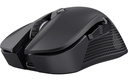 Trust GXT931 Ybar Gaming Maus schwarz