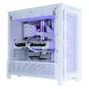 Regulus Blanc